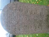 image of grave number 711085